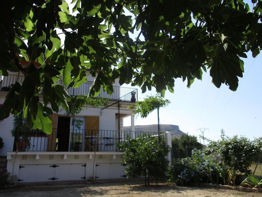 Casa La Higuera Villa Chulilla Exterior foto