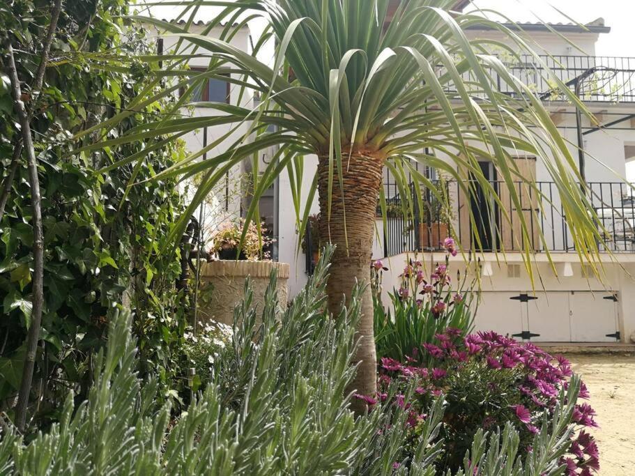Casa La Higuera Villa Chulilla Exterior foto