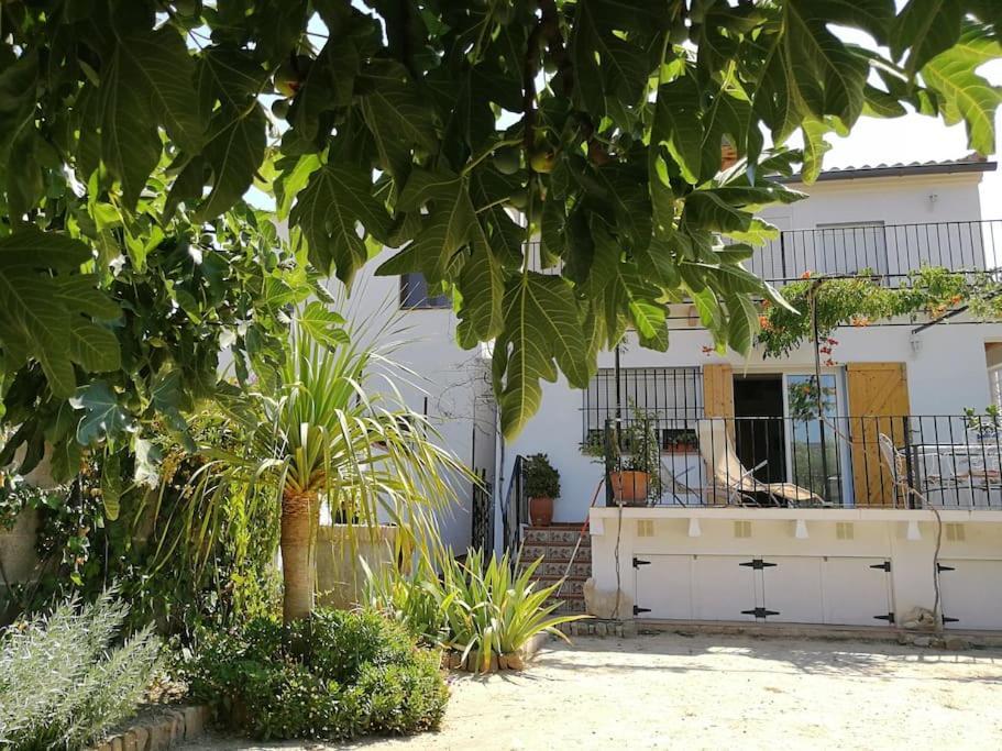 Casa La Higuera Villa Chulilla Exterior foto