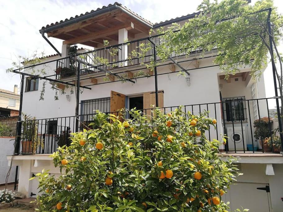 Casa La Higuera Villa Chulilla Exterior foto